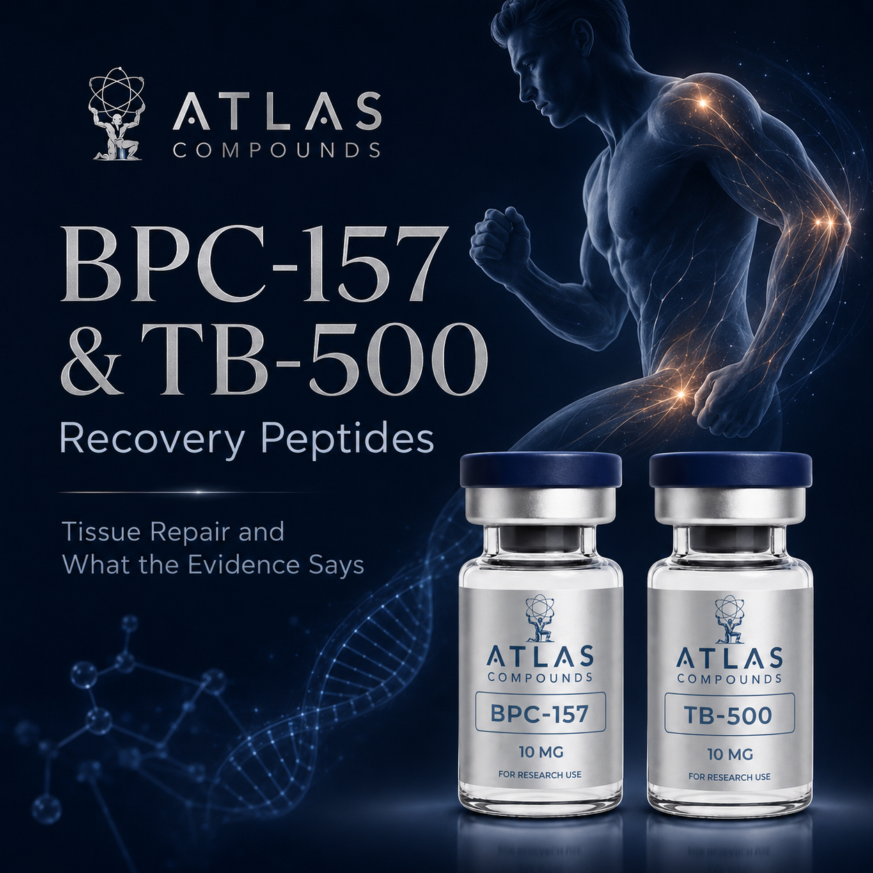 BPC-157 and TB-500: Recovery Peptides, Tissue Repair, and What the Evidence Actually Says