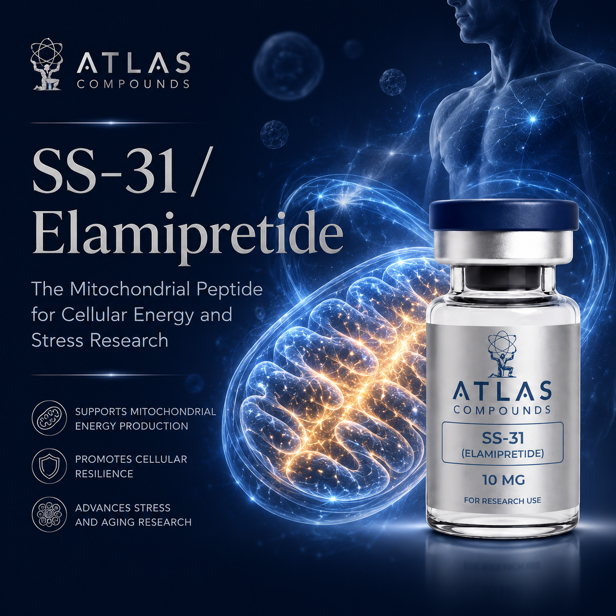 SS-31 / Elamipretide: The Mitochondrial Peptide for Cellular Energy and Stress Research