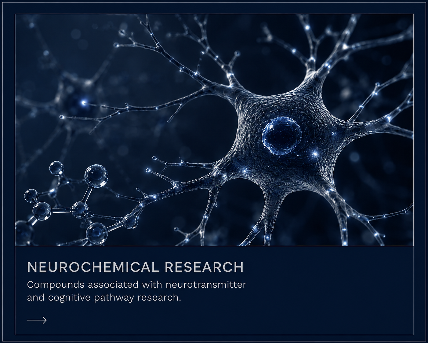 Neurochemical Research