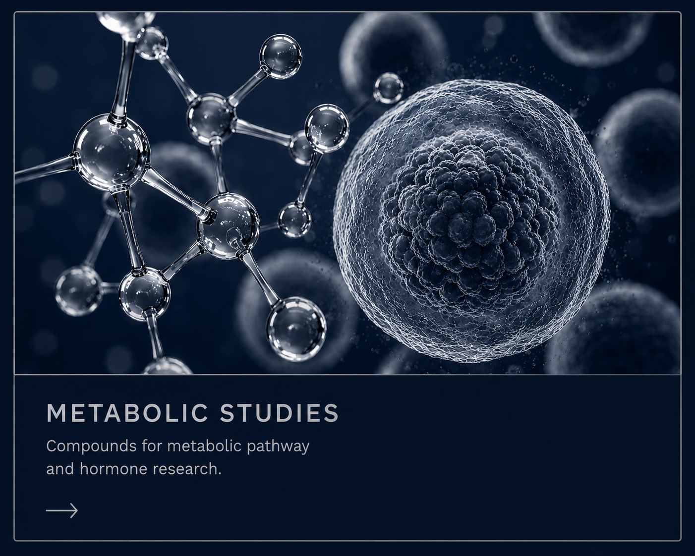 Metabolic Studies